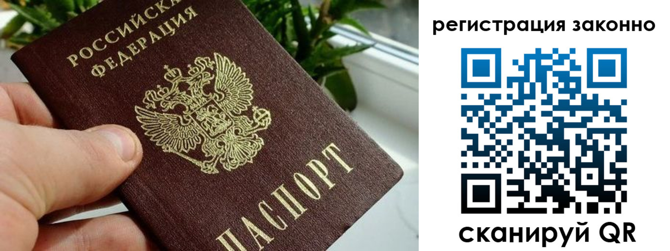 прописка гарантия в Новосибирске